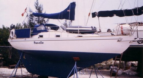 Contessa 26 'Suselle'