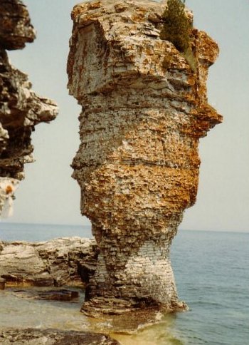 Coast of Flowerpot Island